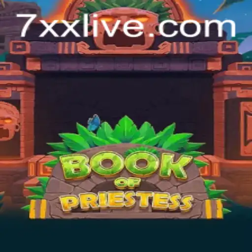 The Magical World of BookOfPriestess: A Detailed Journey into Gameplay and Rules